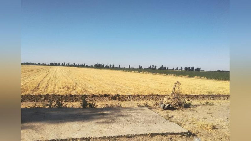 'Kredit mablag`i yana o`zlashtirildi. Nega?'ning rasmi