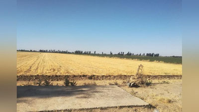 'Kredit mablag`i yana o`zlashtirildi. Nega?'ning rasmi