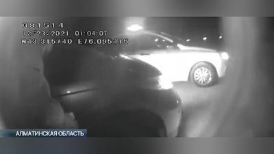 Изрображение 'Жителя Узбекистана спасли от похищения в Алматинской области (видео)'