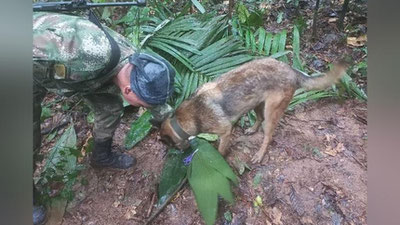 Изрображение 'Четверо детей провели 16 дней в джунглях Колумбии после авиакатастрофы'