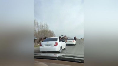 Изрображение 'В Кашкадарье друзья жениха поплатились за разбрасывание фальшивых долларов (видео)'