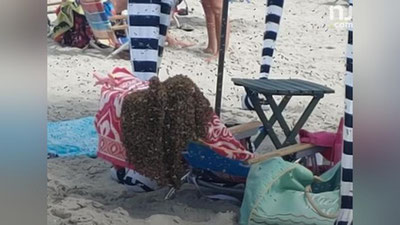 Изрображение 'Тысячи пчел напугали отдыхающих на пляже в Нью-Джерси (видео)'