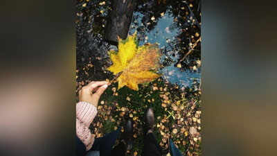 '9 noyabr kuni O`zbekistonda kutilayotgan ob-havo ma`lumoti'ning rasmi