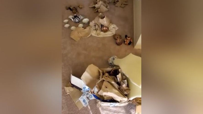 Изрображение 'В «Узбекистон почтаси» дали комментарий на инцидент с посылкой в США (видео)'