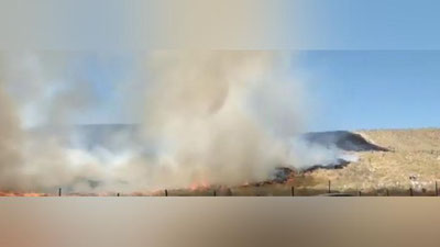 Изрображение 'На кладбище в Самаркандской области произошел пожар (видео)'