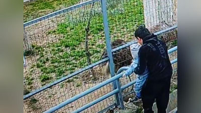 Изрображение 'В ташкентском зоопарке во время кормления посетителем серьезно пострадал страус эму'