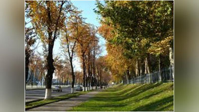 'Bu hafta ob-havo qanday bo`ladi?'ning rasmi