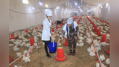'Harbiy xizmatchining oilasiga tadbirkorlik bilan shug`ullanishga ko`mak berildi'ning rasmi