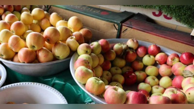 Изрображение 'Минсельхоз: часть урожая яблок созрела почти на месяц раньше'