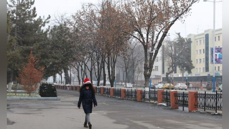 'O`zbekistonda kelasi hafta boshida havo harorati 20 darajagacha iliq bo`ladi'ning rasmi