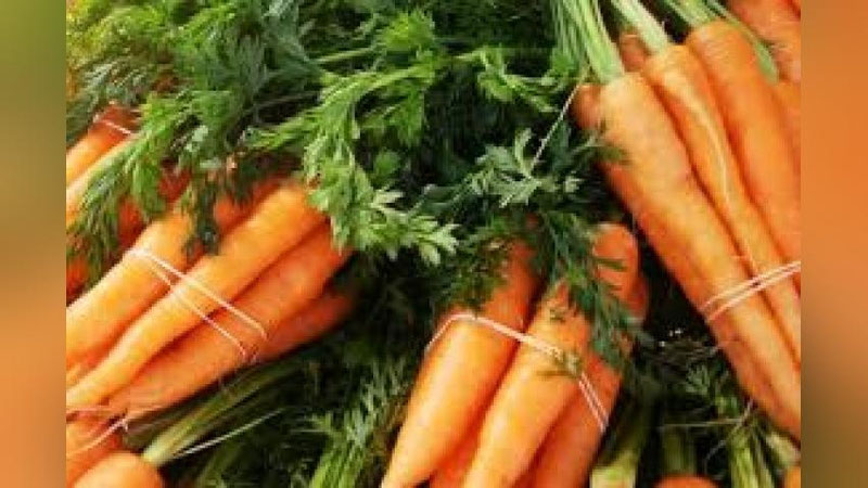 'O`zbekistonda sabzining narxi bir necha yil ichidagi eng yuqori cho`qqiga chiqdi'ning rasmi