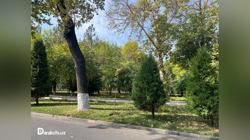 'Bugun ham O`zbekistonda 30 daraja issiq bo`ladi'ning rasmi