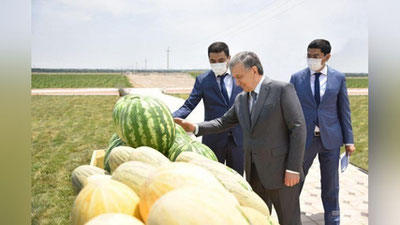 Изрображение 'Президент начал поездку по Наманганской области с посещения плодоовощного кластера'