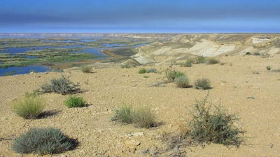 Изрображение 'Минэкологии показало птичий мир Национального природного парка Приаралья (фото)'