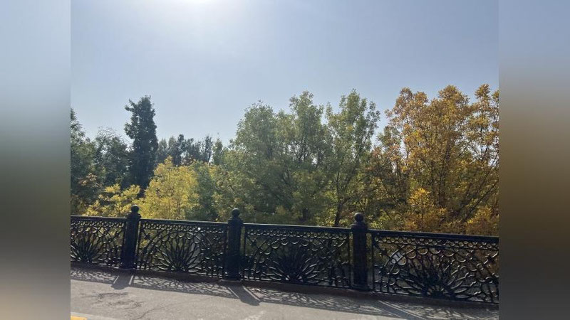 'Bugun O`zbekistonda harorat 24 daraja atrofida bo`ladi'ning rasmi