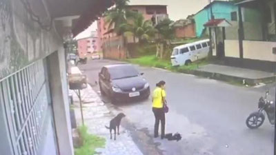 'Bunaqasi faqat kinoda bo`ladi (Video) 'ning rasmi