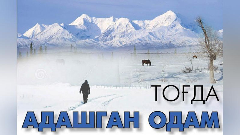 'Tog`da adashgan odam (Bo`lgan voqea)'ning rasmi