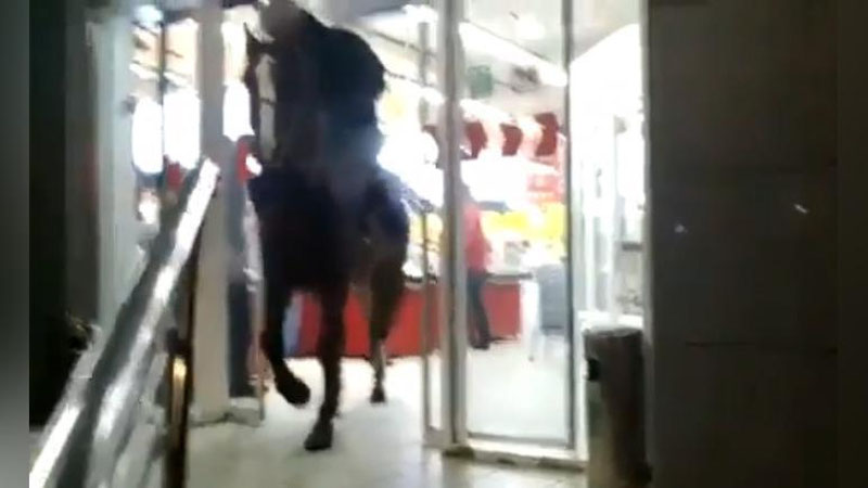 Изрображение 'В КЫРГЫЗСТАНЕ ПЬЯНЫЙ МУЖЧИНА ЗАЕХАЛ НА КОНЕ В СУПЕРМАРКЕТ (ВИДЕО)'