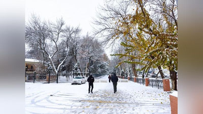 Изрображение 'В Ташкенте до 5 градусов ниже ноля: погода на 10 декабря'