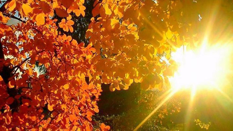 'ERTAGA – 13 OKTYaBR KUNI MAMLAKATIMIZDA KUTILAYoTGAN OB-HAVO MA`LUMOTI'ning rasmi