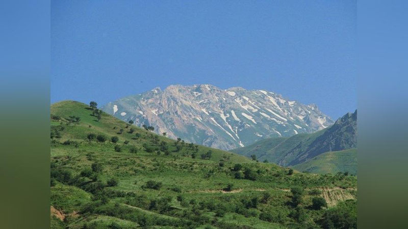 Изрображение 'МЕЖДУНАРОДНЫЕ ЭКСПЕРТЫ ОБСУДЯТ В ТАШКЕНТЕ ВОПРОСЫ ЭКОТУРИЗМА'