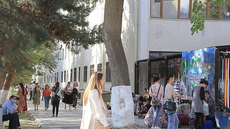 'Toshkentda yotoqxonadan joy berilmagan, poytaxtda uyi, qarindoshi yo`q, ijara uyi ham aniq bo`lmagan 25 ming talaba bor — Oliy ta`lim vazirligi'ning rasmi