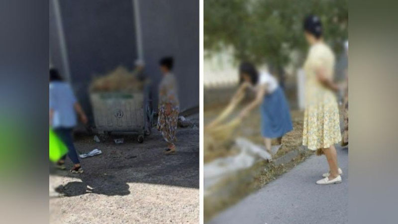 'Toshkentda o`qituvchilarga “shanbalik” qildirgan maktab direktori jarimaga tortildi'ning rasmi