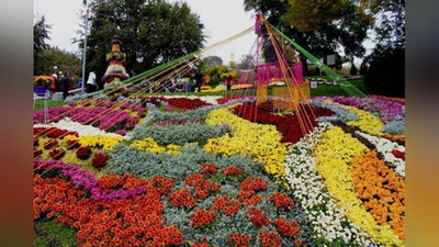 'Toshkent shahriga gul ekish uchun 12 mlrd so`m ajratiladi'ning rasmi