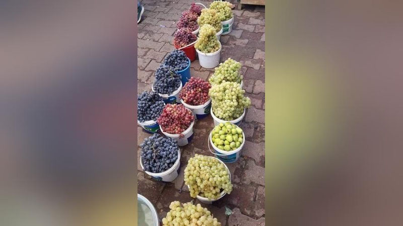 'Uzum narxining keskin oshib ketishi vazirlik tomonidan o`rganildi. Ma`lum bo`lishicha...'ning rasmi