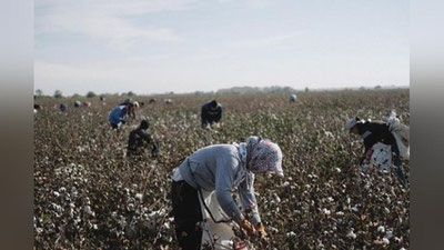 'Bu yilgi paxta yig`im-terim mavsumida mehnat huquqlari buzilishiga oid 191 ta murojaat kelib tushgan – vazirlik'ning rasmi