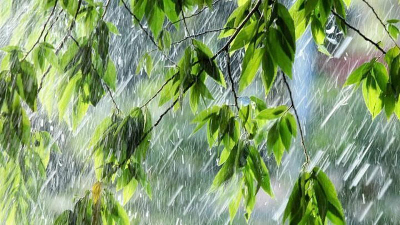 'Ўзбекистон ҳудудига нам ва совуқ ҳаво массалари кириб келиши кутилмоқда'ning rasmi