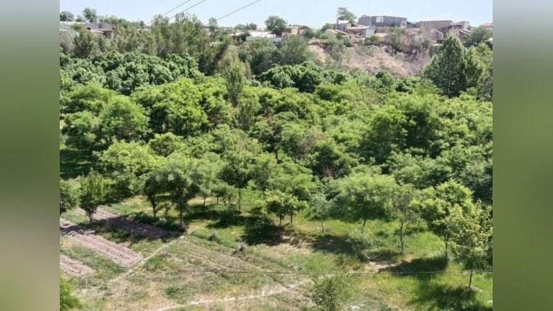 'Эртанги об-ҳаво маълумотлари эълон қилинди'ning rasmi