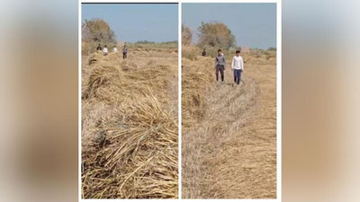 'Хоразмда ўқувчиларни шоли ўримига жалб қилган фермер жаримага тортилди'ning rasmi