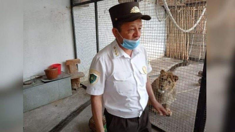 Изрображение 'В жилом доме в Коканде содержали львенка (видео)'