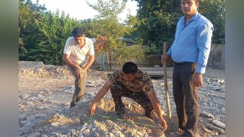 'Surxondaryoda yo`l ta`mirlash maqsadida 61 tup daraxt kesib tashlandi'ning rasmi