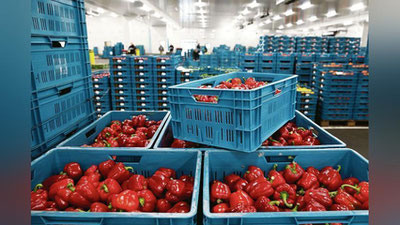 Изрображение 'В Татарстане планируют построить логистический парк для сельхозпродукции из Узбекистана'