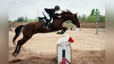 'Har bir olimpiya zaxiralari kollejida ot sporti bo`limlari tashkil etiladi'ning rasmi