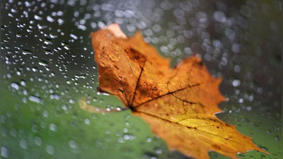 '​19 OKTYaBR UChUN OB-HAVO MA`LUMOTI'ning rasmi