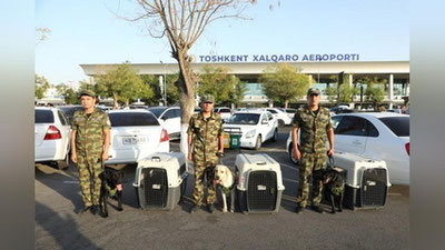 'Корея божхона хизмати Ўзбекистондан ит сотиб олди'ning rasmi