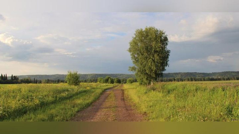 'Келаётган ҳафта ёзнинг жазирама иссиғи Ўзбекистонни тарк этади'ning rasmi