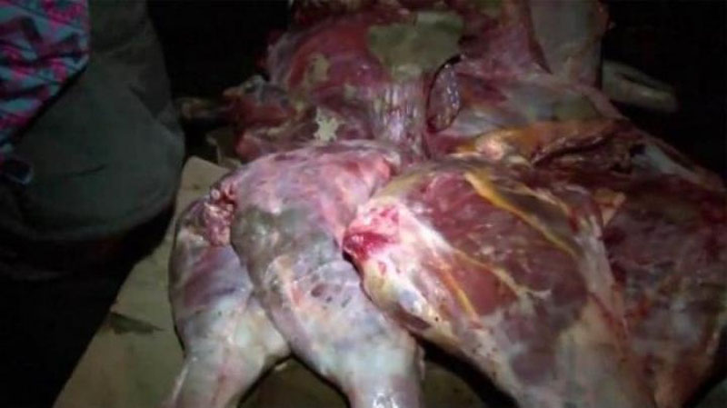 'Bekobod tumani maktabgacha bo`limi mudiri tomonidan bog`chalarga sifatsiz go`sht tarqatilayotgani holati o`rganildi'ning rasmi