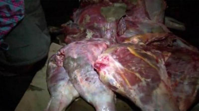 'Bekobod tumani maktabgacha bo`limi mudiri tomonidan bog`chalarga sifatsiz go`sht tarqatilayotgani holati o`rganildi'ning rasmi