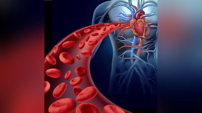 'Inson o`rtacha umri davomida yurak qon tomirlar orqali 200 vagon qon haydaydi'ning rasmi