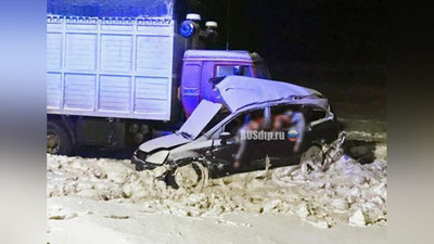 Изрображение 'Узбекистанцы оказались самыми недисциплинированными водителями в России'