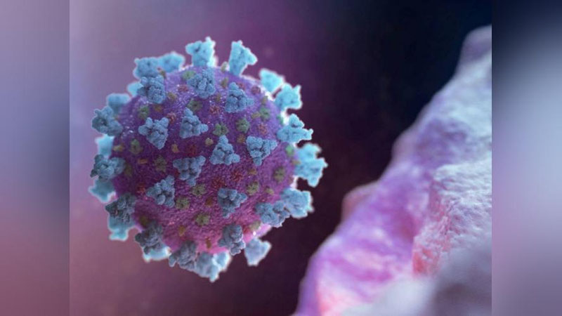 Изрображение 'Количество подтвержденных диагнозов COVID-19 превысило 20 тысяч'