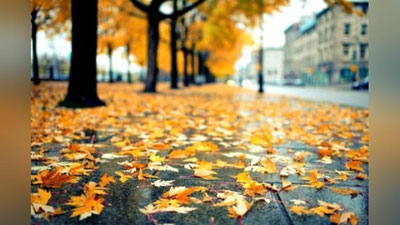 'Shamol, chang-to`zonlar, yomg`ir: Bugun O`zbekistonda kutilayotgan ob-havo haqida ma`lumot berildi'ning rasmi