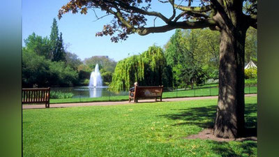 'Икки йилда 1082 гектар майдонда янгидан “яшил жамоат парклари” барпо этилади'ning rasmi