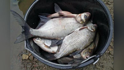 Изрображение 'В Узбекистане утверждены Правила рыболовства в естественных водоемах'