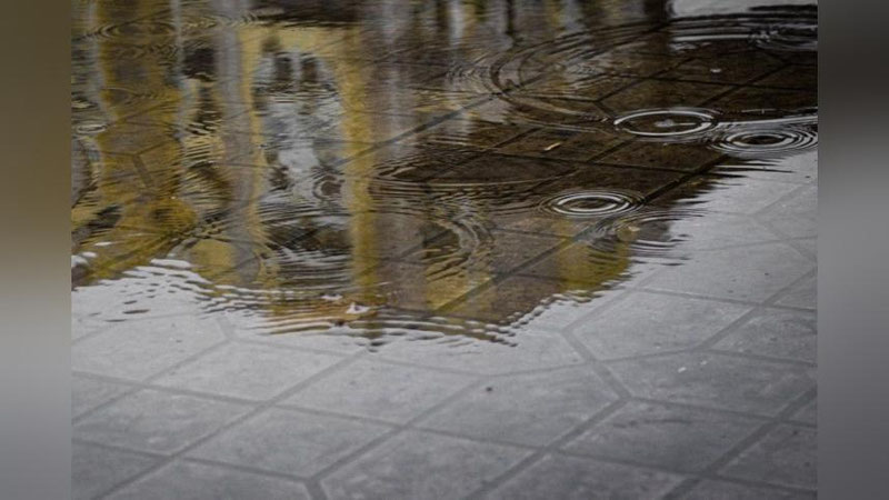 'Ertaga O`zbekistonda yomg`ir yog`ib, harorat pasayishi mumkin'ning rasmi