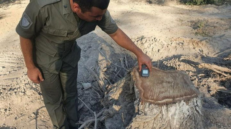 'Xorazmdagi istirohat bog`laridan birida daraxtlar noqonuniy kesib tashlandi (video)'ning rasmi